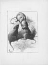 Thumbnail 0179 of Chatterbox stories of natural history