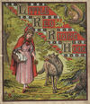 Read Little Red Riding Hood