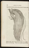 Thumbnail 0020 of The natural history of birds