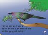 Thumbnail 0011 of The koel