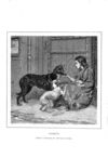 Thumbnail 0003 of St. Nicholas. July 1875