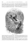 Thumbnail 0051 of St. Nicholas. August 1877