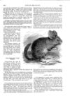 Thumbnail 0074 of St. Nicholas. January 1888