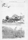 Thumbnail 0059 of St. Nicholas. December 1886