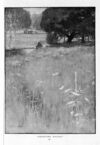 Thumbnail 0015 of St. Nicholas. May 1893