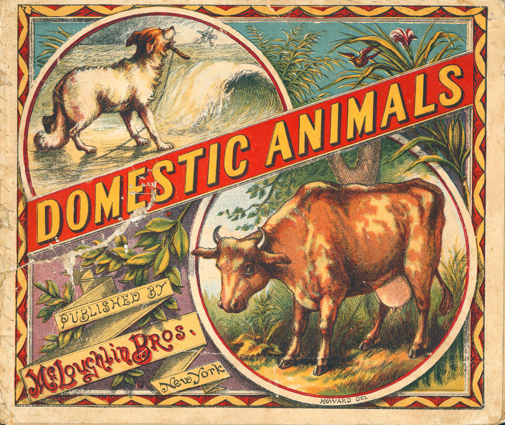 Scan 0001 of Domestic animals