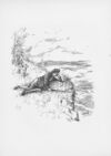 Thumbnail 0029 of Rip Van Winkle