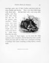 Thumbnail 0028 of Picture book of animals