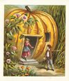 Thumbnail 0006 of The pumpkin house