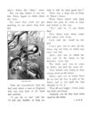 Thumbnail 0042 of Bird tales